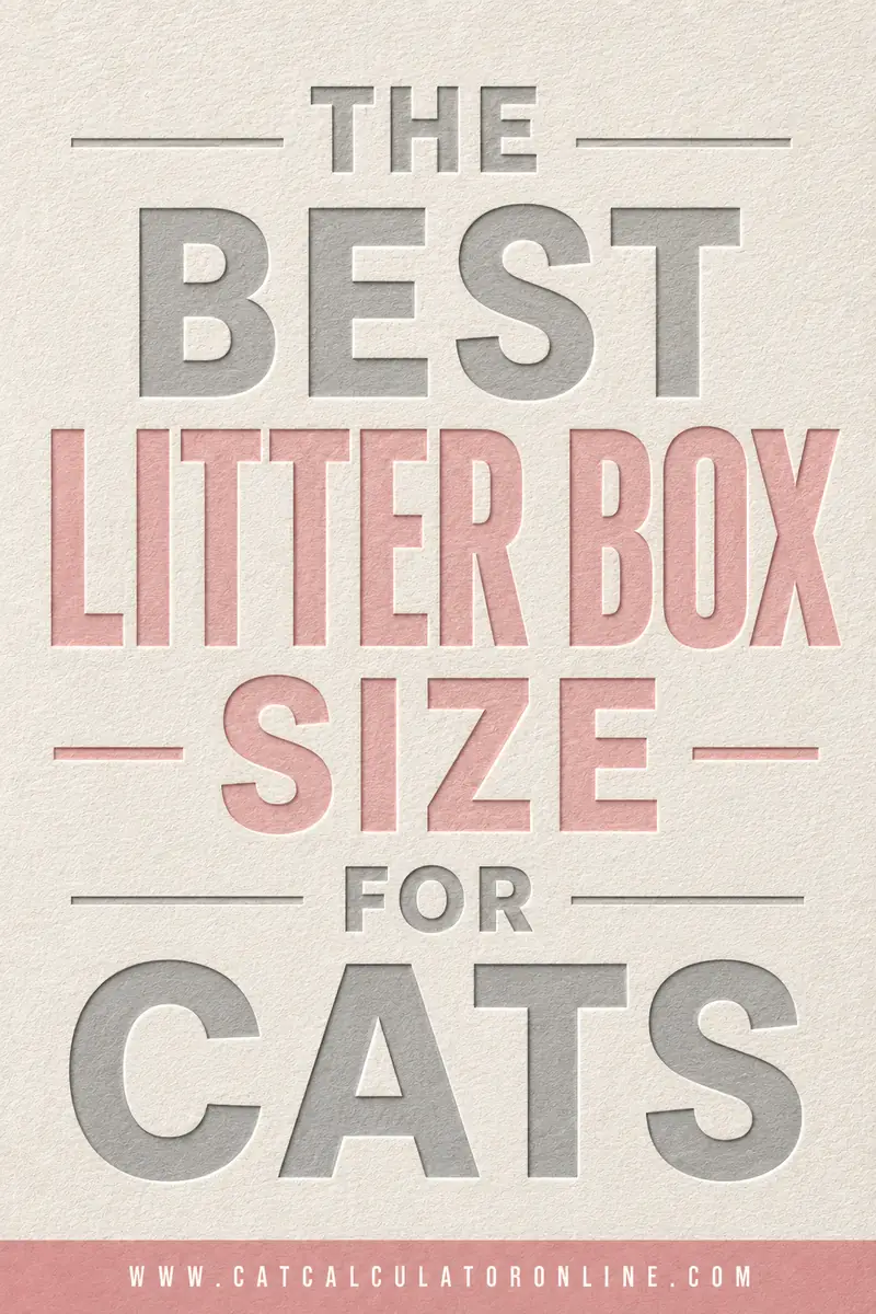 Best Litter Box Size for Cats