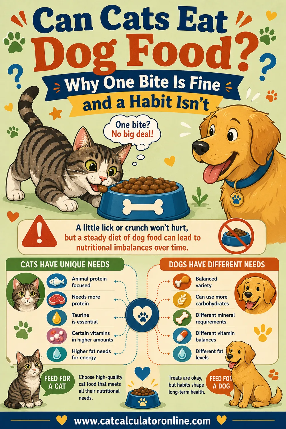 Can Cats Eat Dog Food? Why One Bite Is Fine and a Habit Isn't