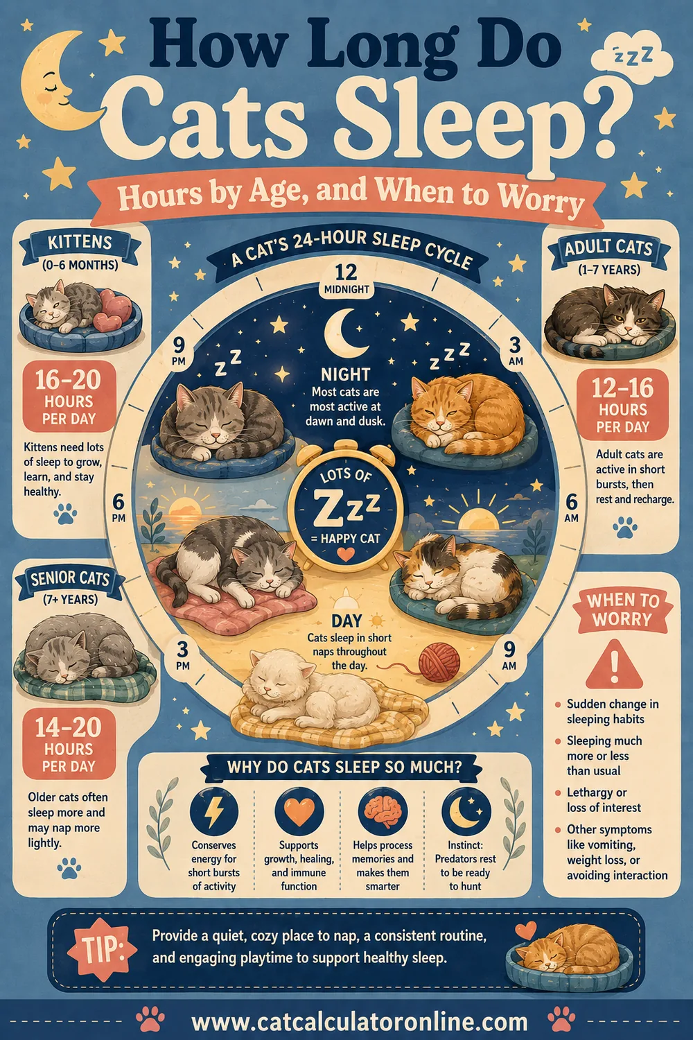 How Long Do Cats Sleep? Hours by Age, and When to Worry