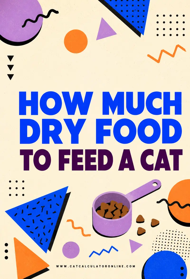 How Much Dry Food to Feed a Cat