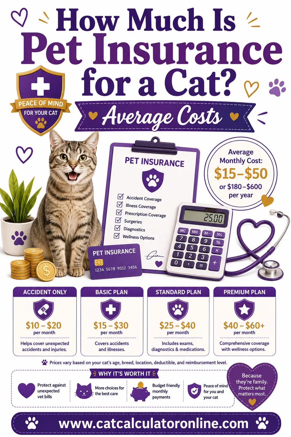 How Much Is Pet Insurance for a Cat? Average Costs by Age and Coverage