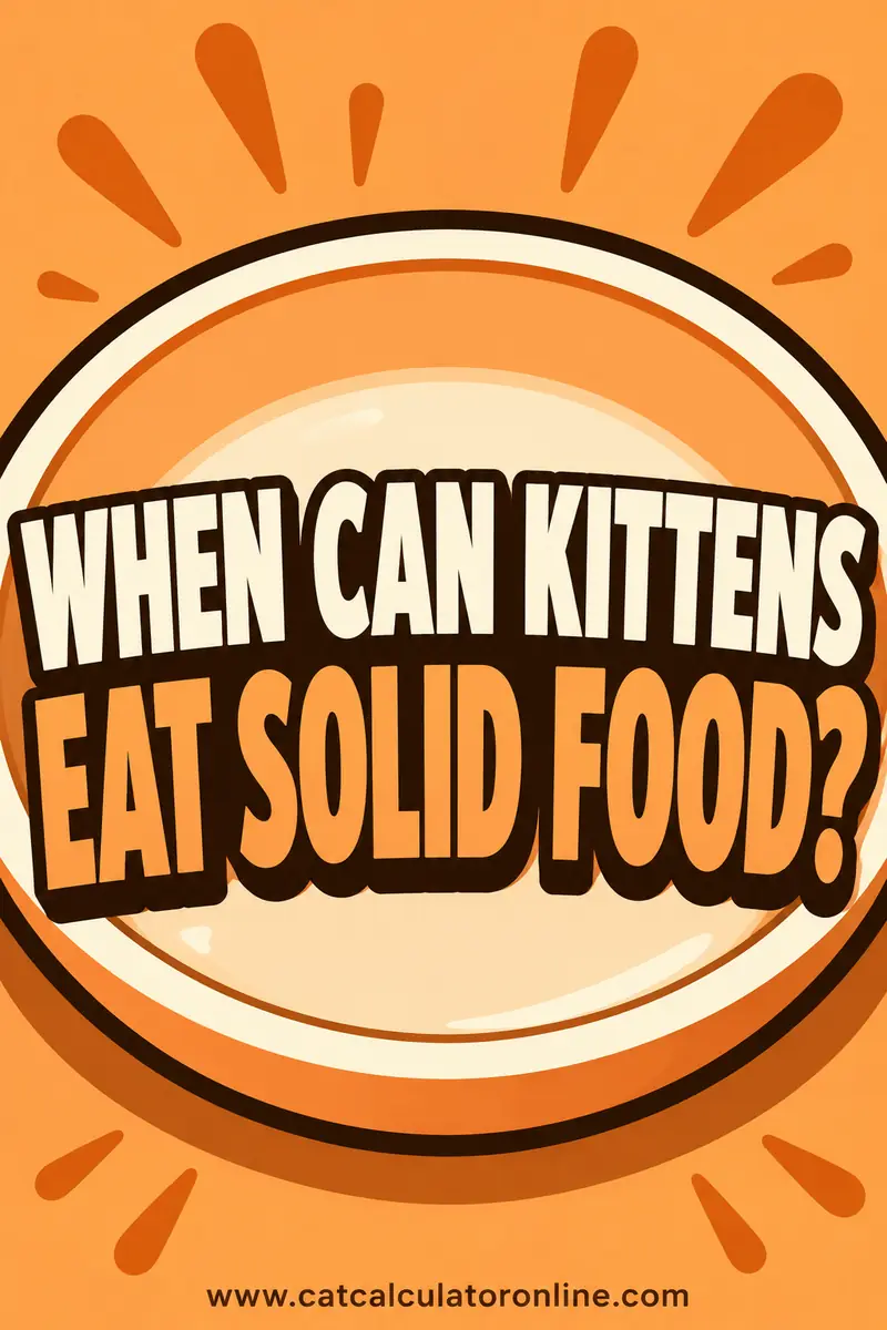 When Can Kittens Eat Solid Food?
